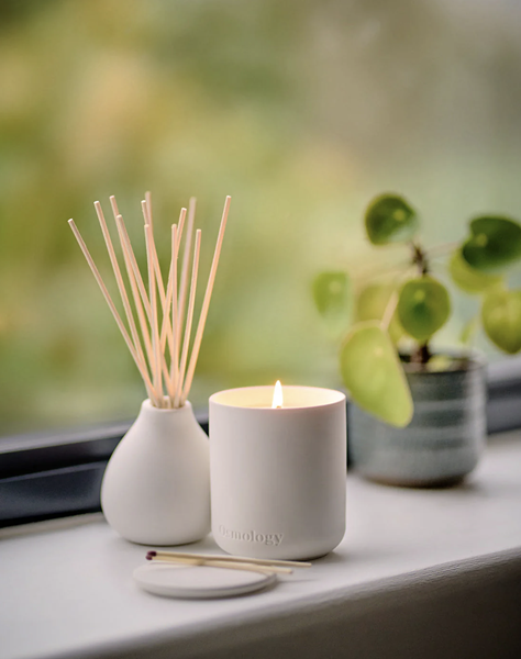 Osmology_Nordic_Cedar_Candle_$42,_Diffuser_$56